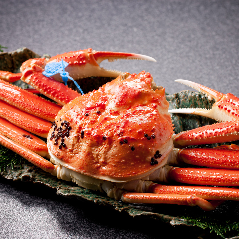 【お届け期間A:11月15日～12月6日】但馬漁港水揚げ　松葉蟹姿茹で(600g～700g)